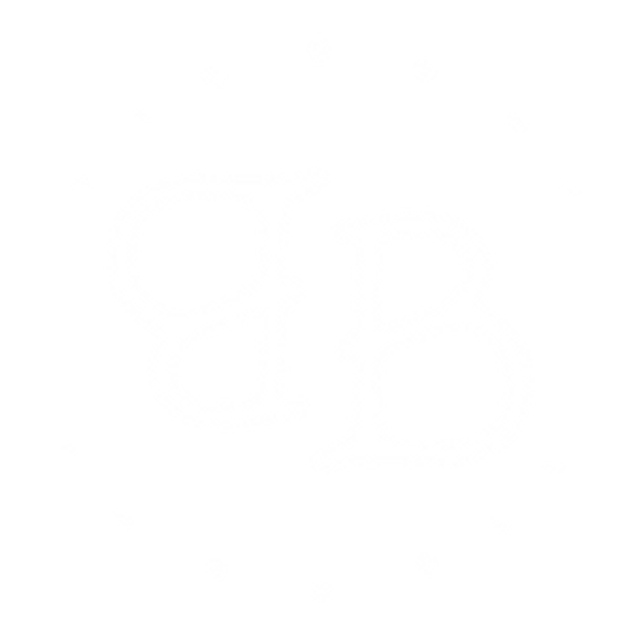 Bamboo Babe logo