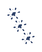 animated GIF with transparent background