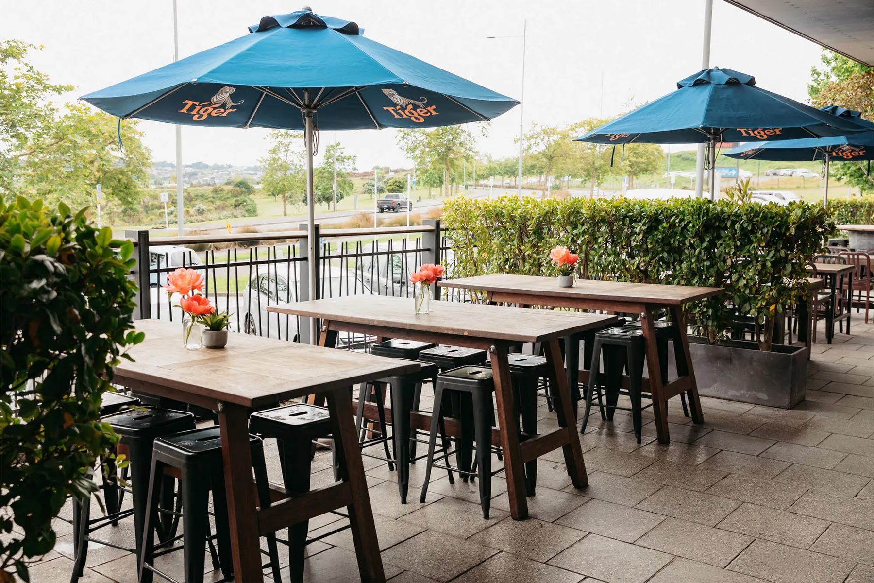 The Terrace