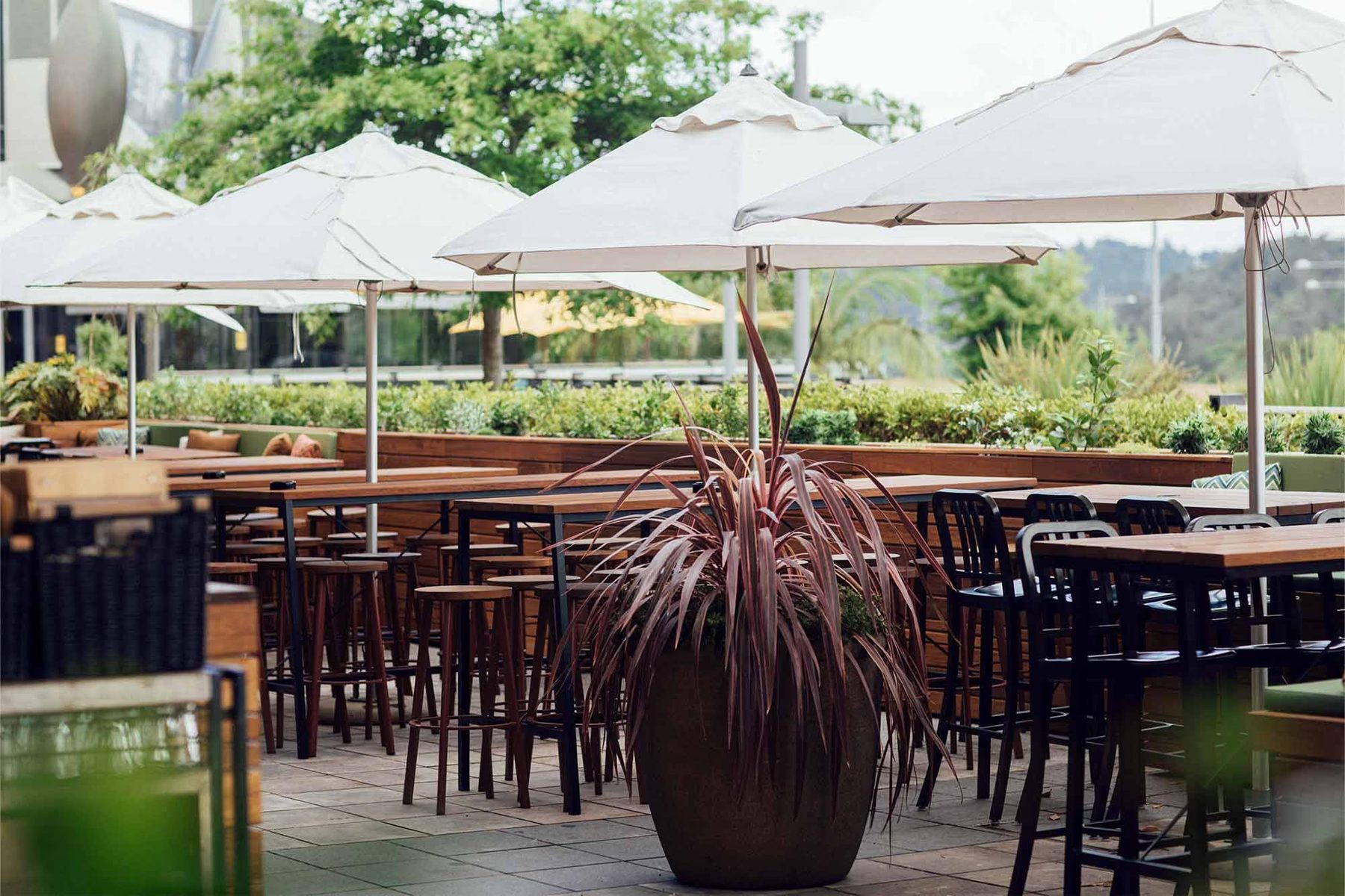 The Terrace