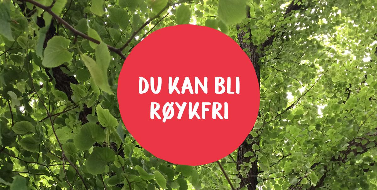 dukanbliroykfri