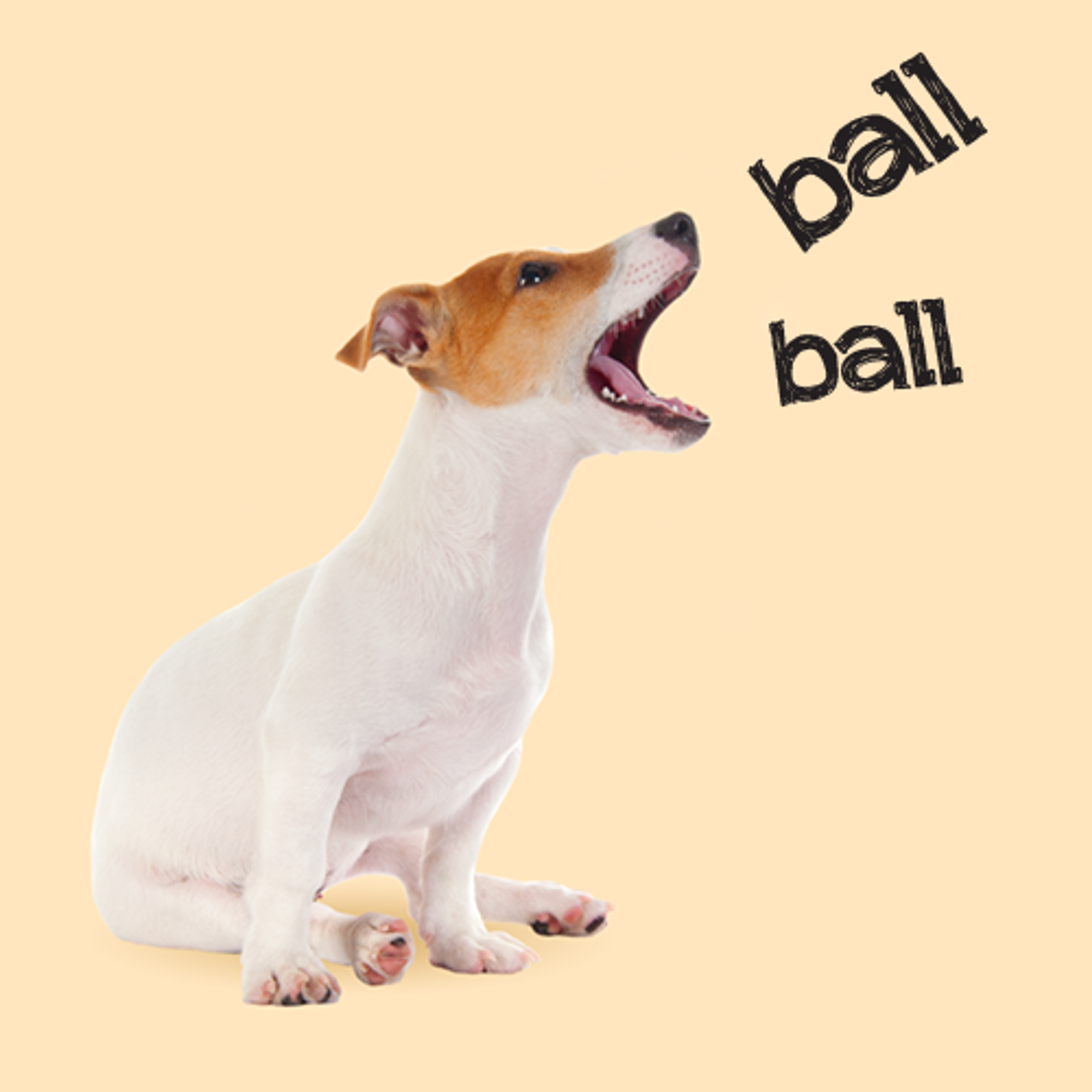 European Dog Show