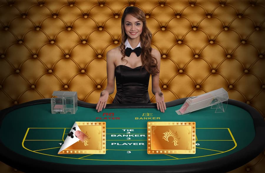 The Real Difference Between a Noob and Pro Casino Player