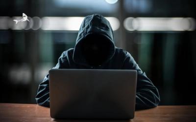 Hooded person using a laptop