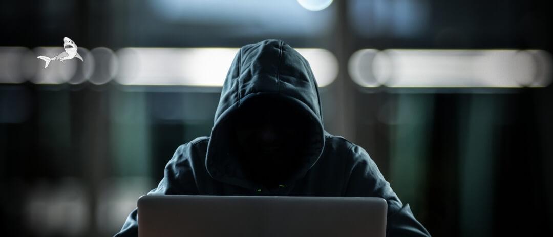 Hooded person using a laptop
