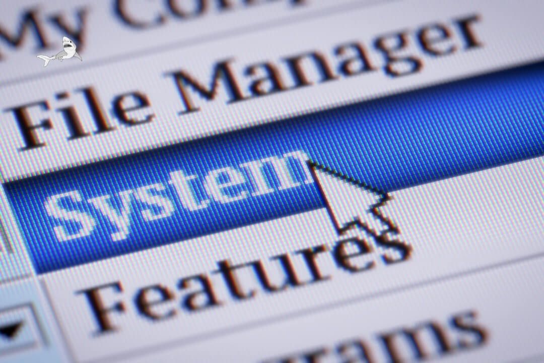 screenshot of software