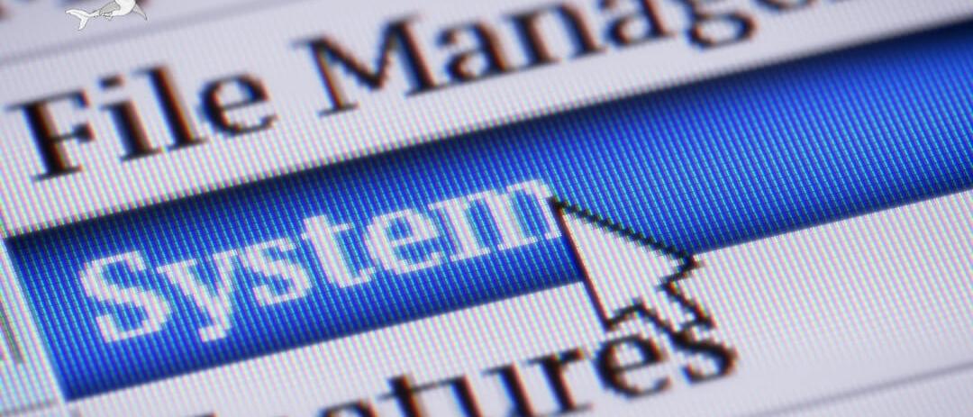 screenshot of software