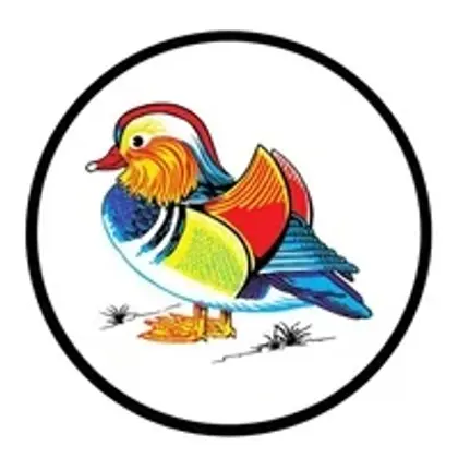 Ped Hong logo