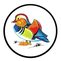 Ped Hong logo