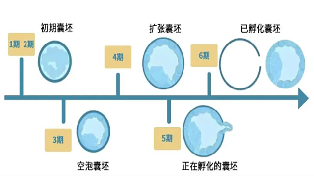 第三代试管婴儿机构