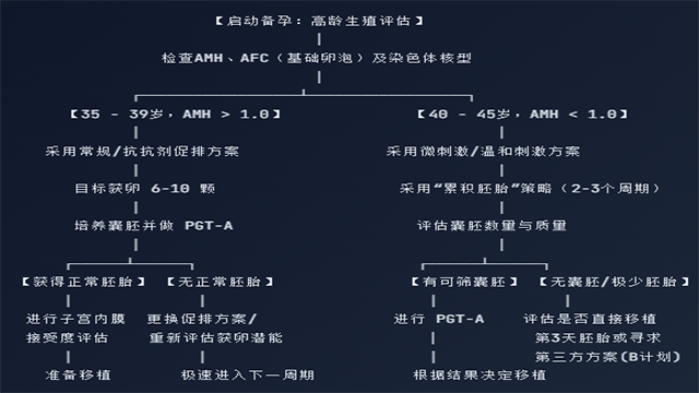 高龄备孕辅助生殖