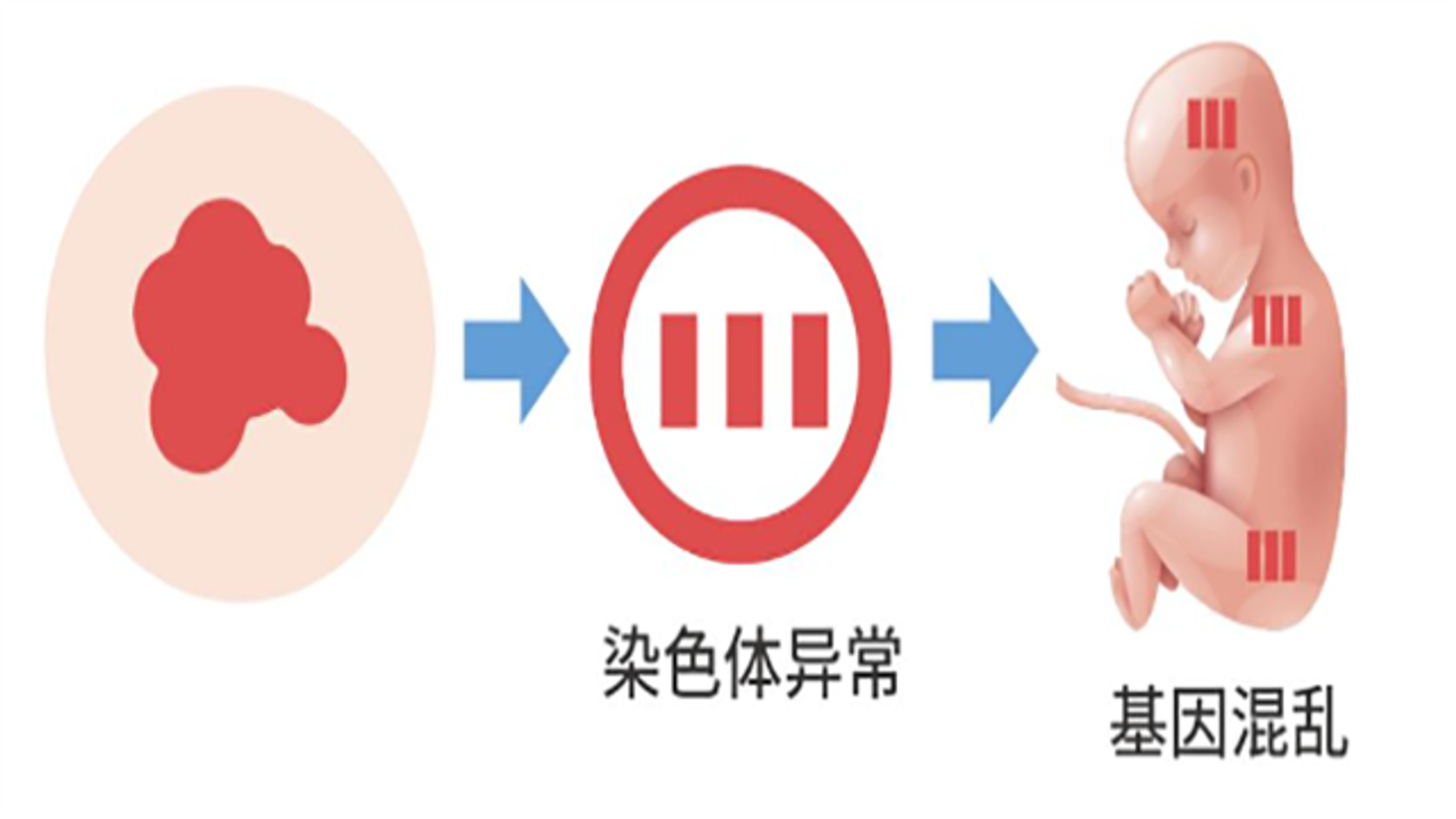 第三代试管婴儿机构