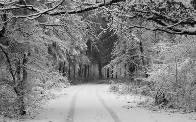 Ph.D. - A road less traveled