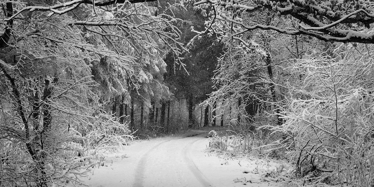 Ph.D. - A road less traveled