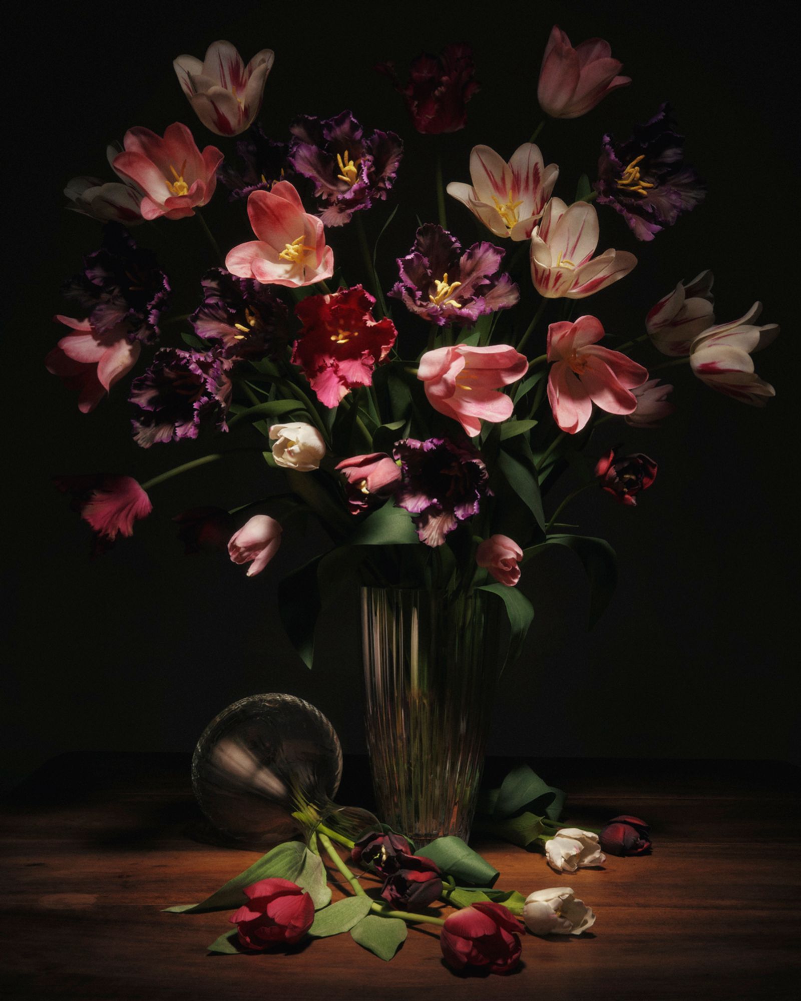Flora Magnifica,|Photography by Romain Roucoules - Anna Piasek - Set Design - Swan MGMT
