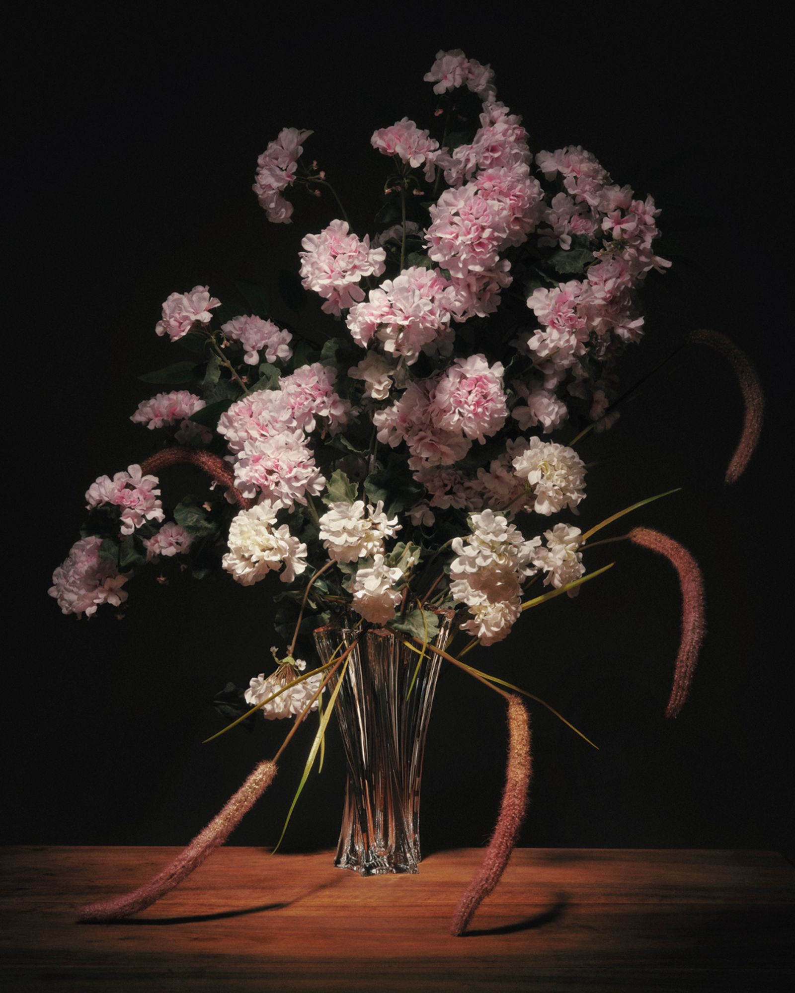 Flora Magnifica,|Photography by Romain Roucoules - Anna Piasek - Set Design - Swan MGMT
