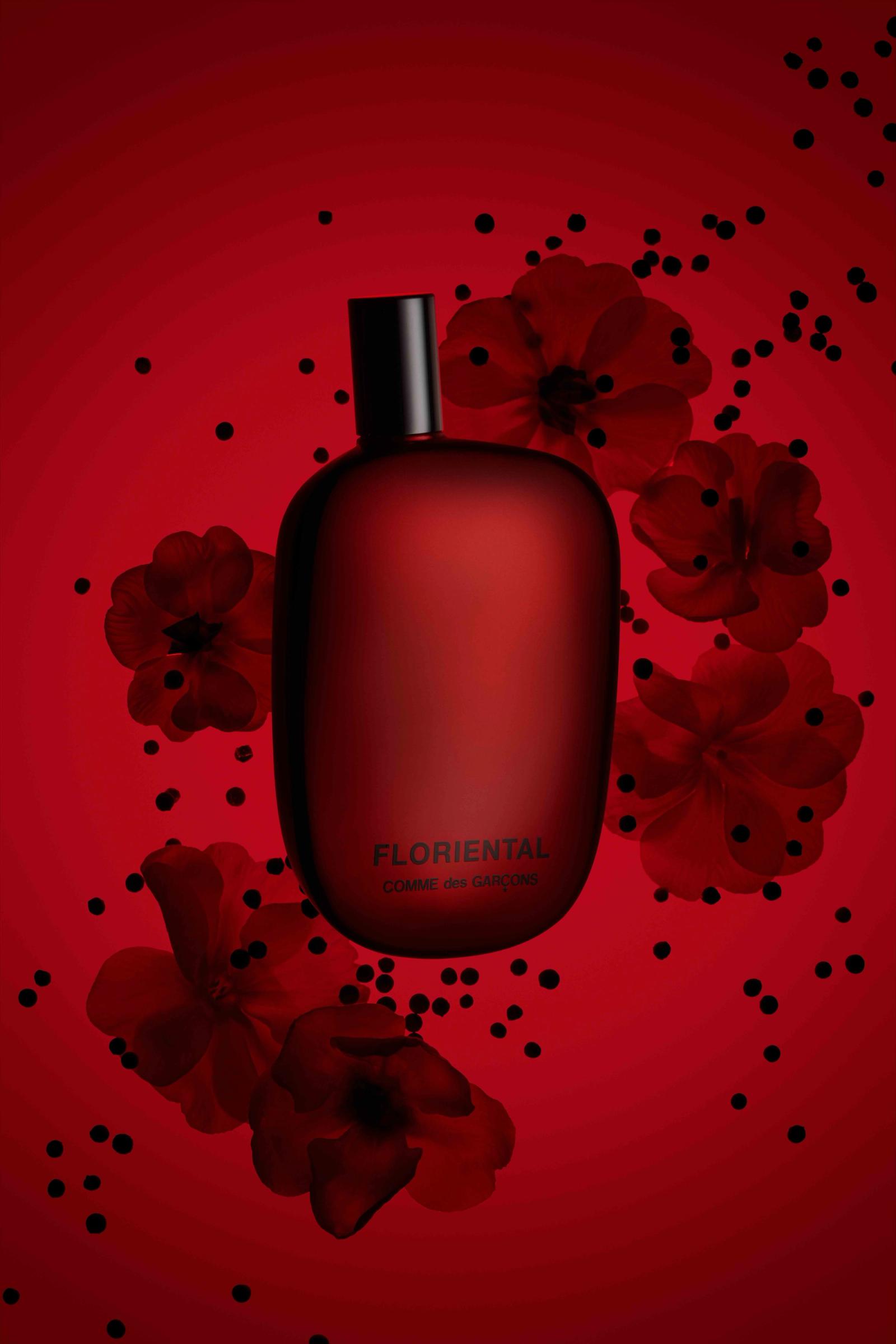 Comme Des Garçons,|Photography by Romain Roucoules - Anna Piasek - Set Design - Swan MGMT