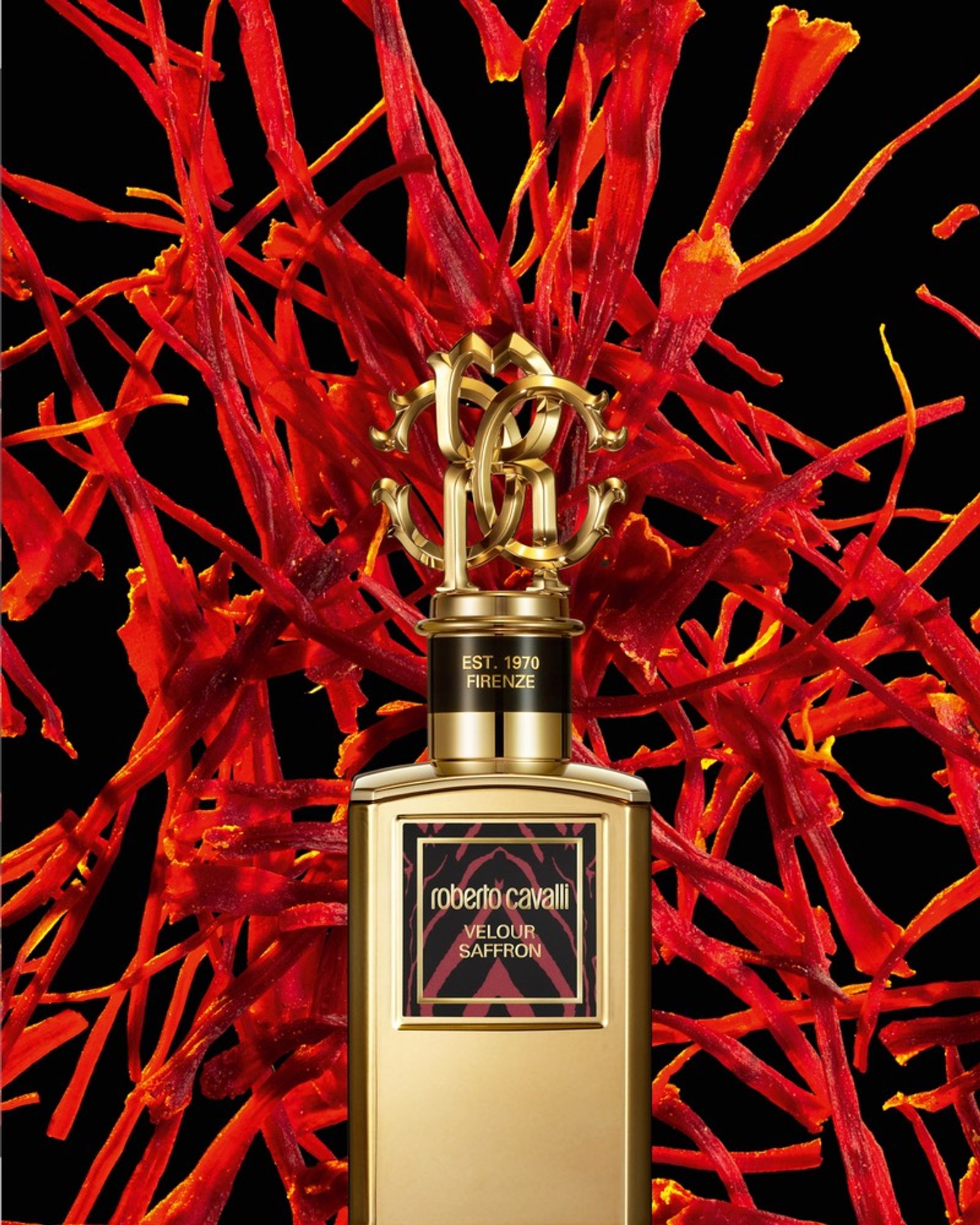 Roberto Cavalli,|Photography by Justinas Vilutus - Rémi Le Garrec - Set Design - Swan MGMT