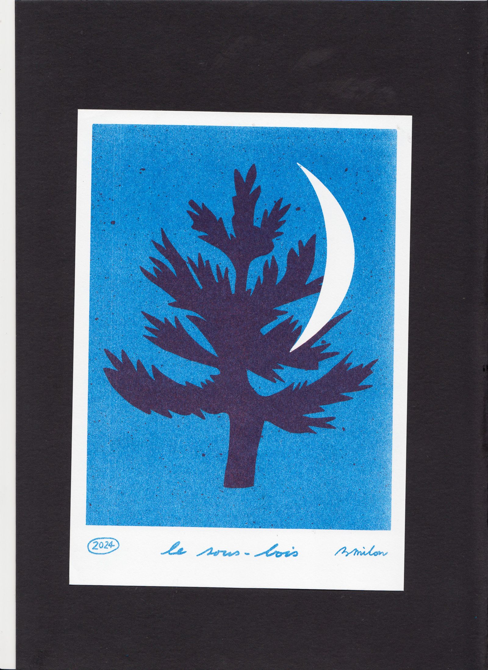 Personal work - Bérénice Milon - Illustration - Swan MGMT