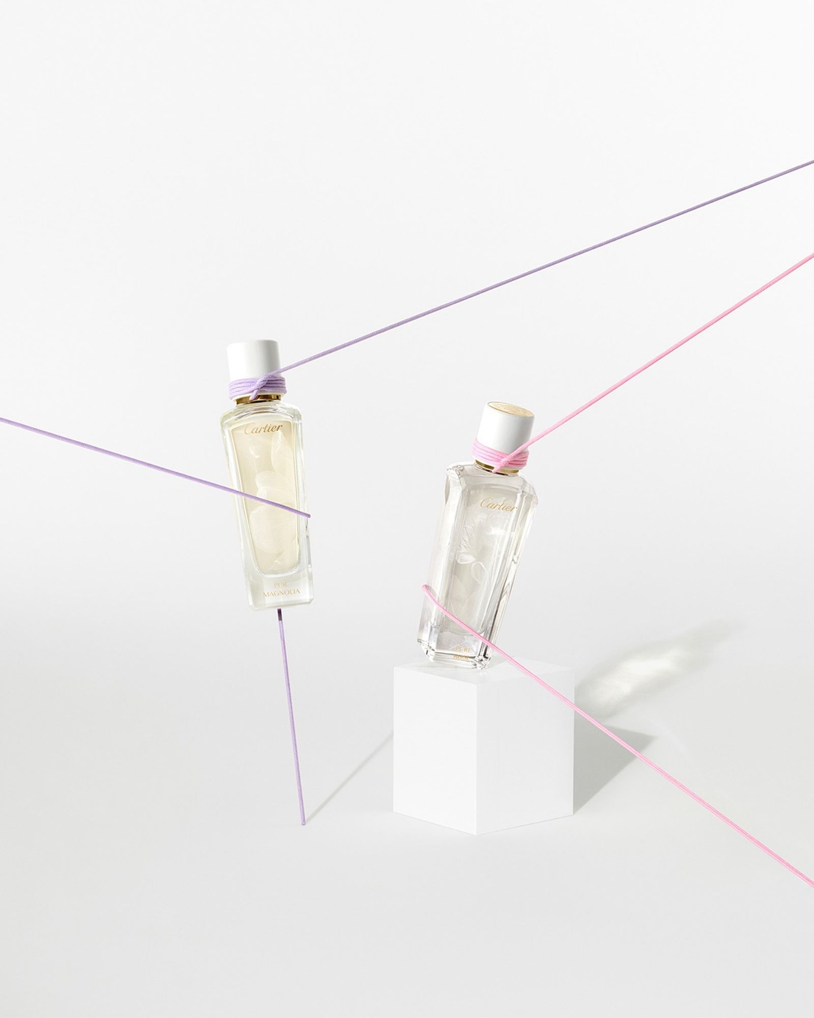 Cartier,|Photography by Studio KH - Sebastien Michelini - Set Design - Swan MGMT