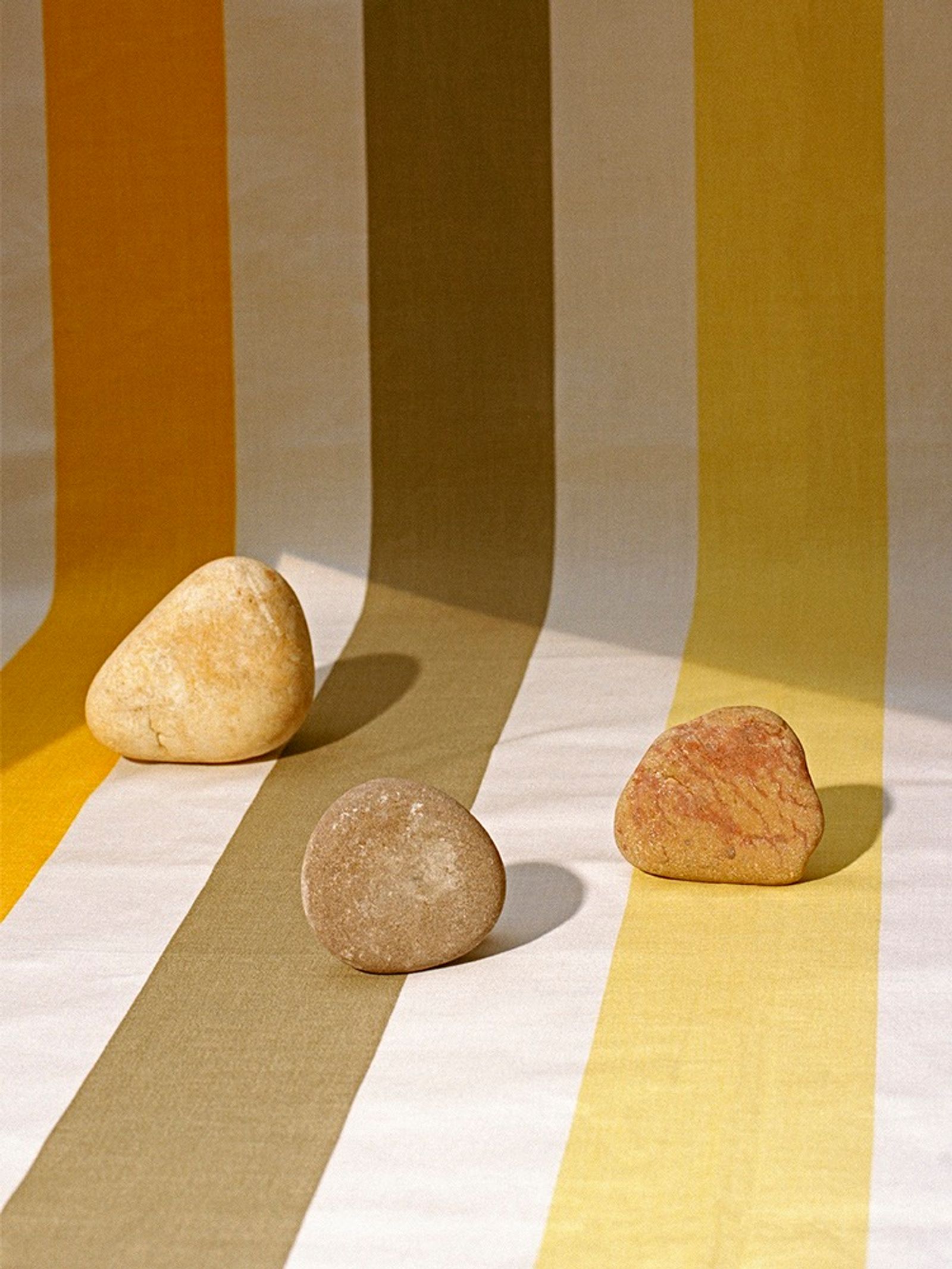 Doing Bird - Victoria Zschommler - Photography - Swan MGMT