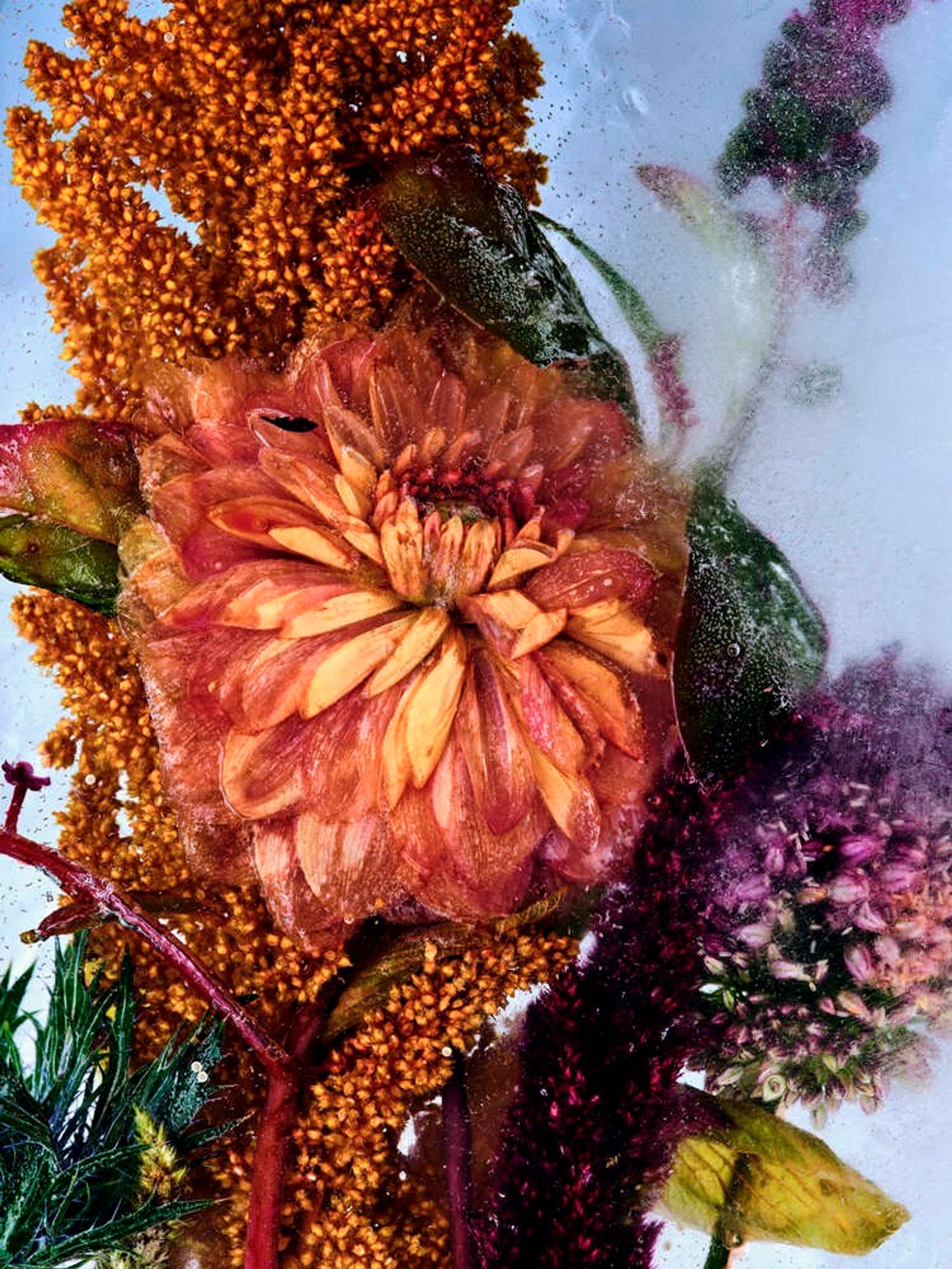 Vilhelm,|Photography by Benjamin Vigliotta - Rémi Le Garrec - Set Design - Swan MGMT