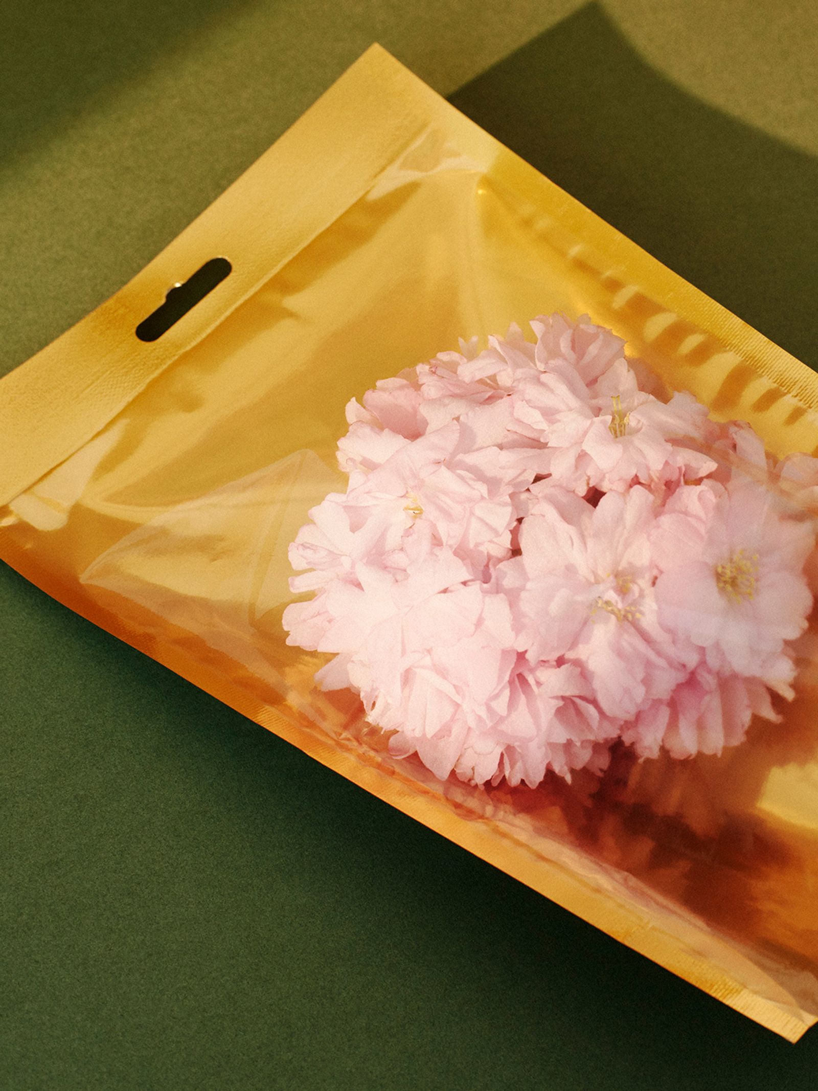 Flowers - Victoria Zschommler - Photography - Swan MGMT