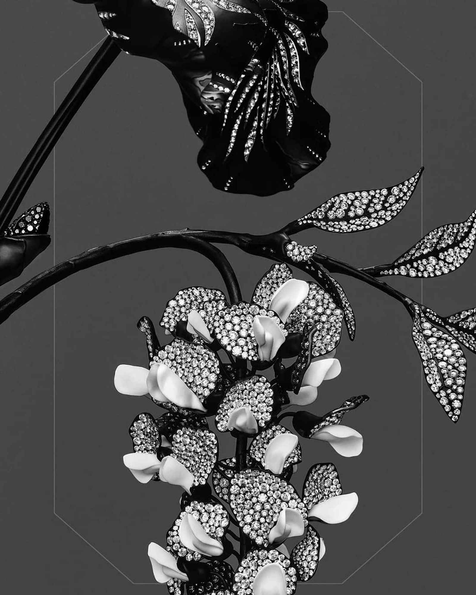 Boucheron,|Photography by Charles Nègre - Anna Piasek - Set Design - Swan MGMT