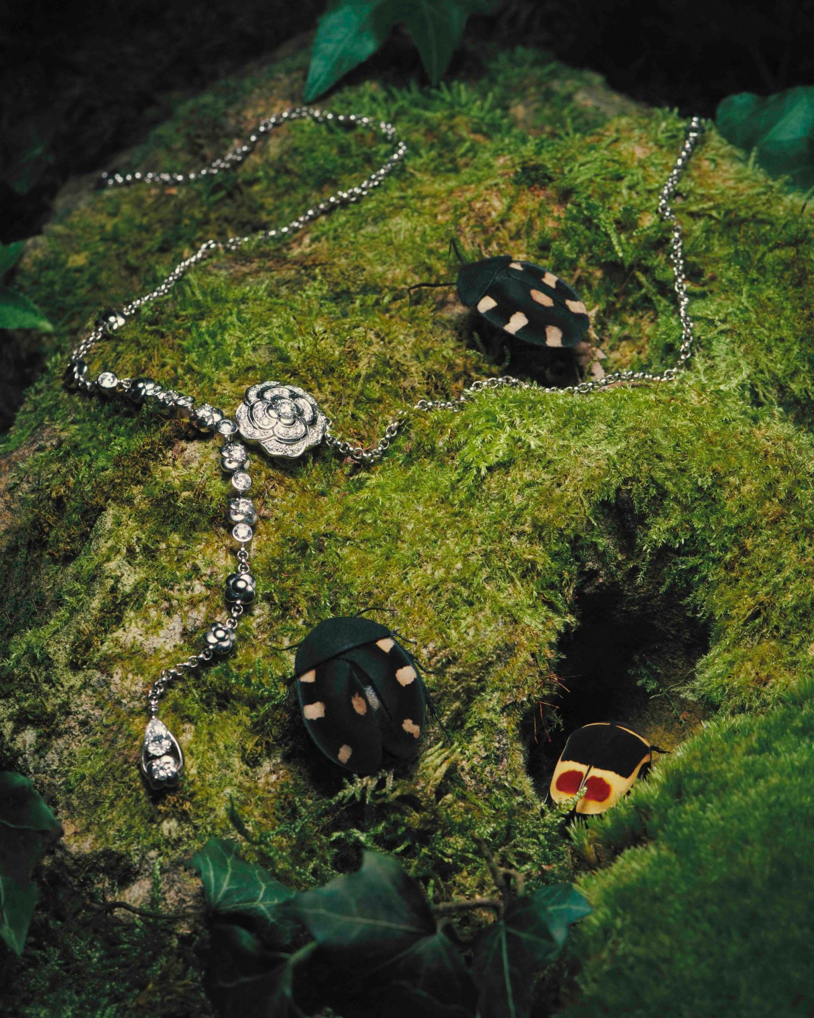 Novembre Magazine, shot by Romain Roucoules - Anna Piasek - Set Design - Swan MGMT