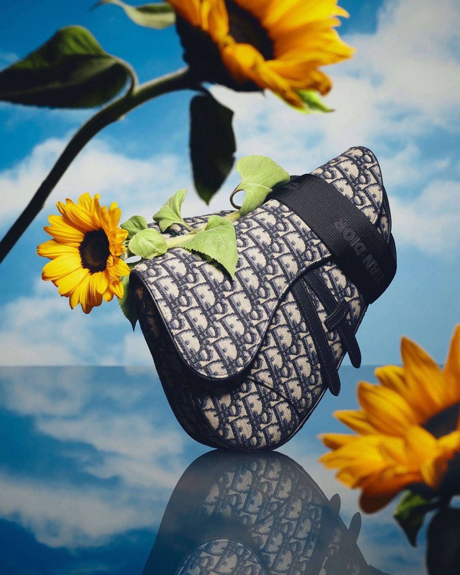 Dior,|Photography by Romain Roucoules - Sebastien Michelini - Set Design - Swan MGMT