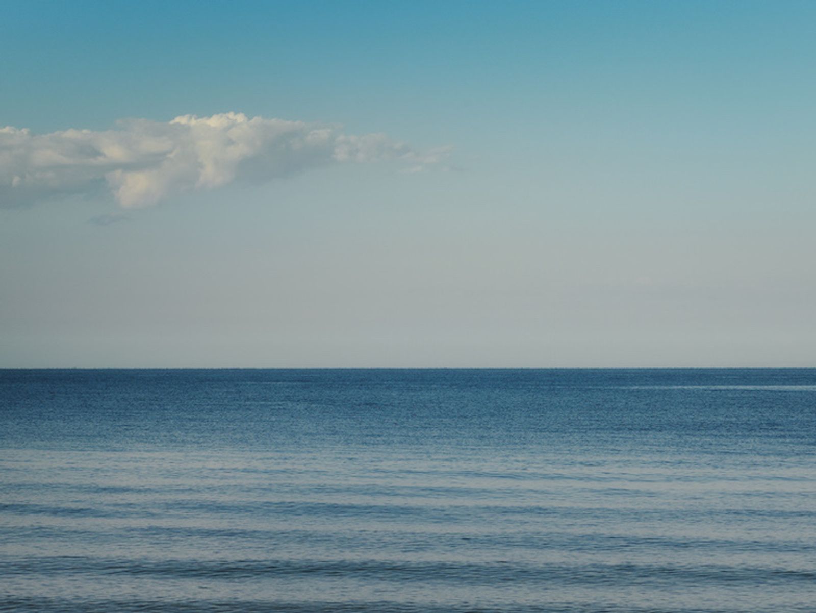 La Mer - Victoria Zschommler - Photography - Swan MGMT