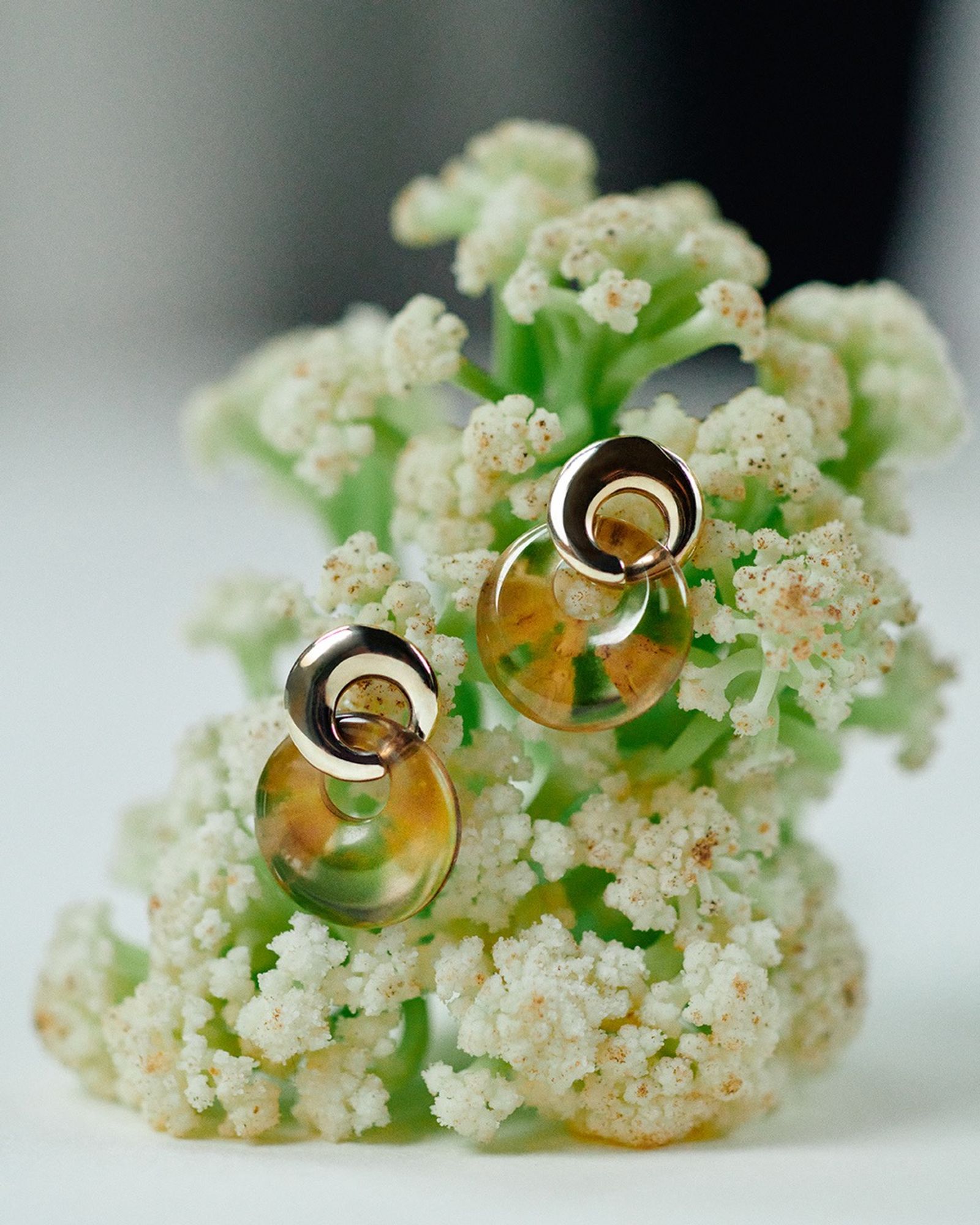 One Magazine - Victoria Zschommler - Photography - Swan MGMT