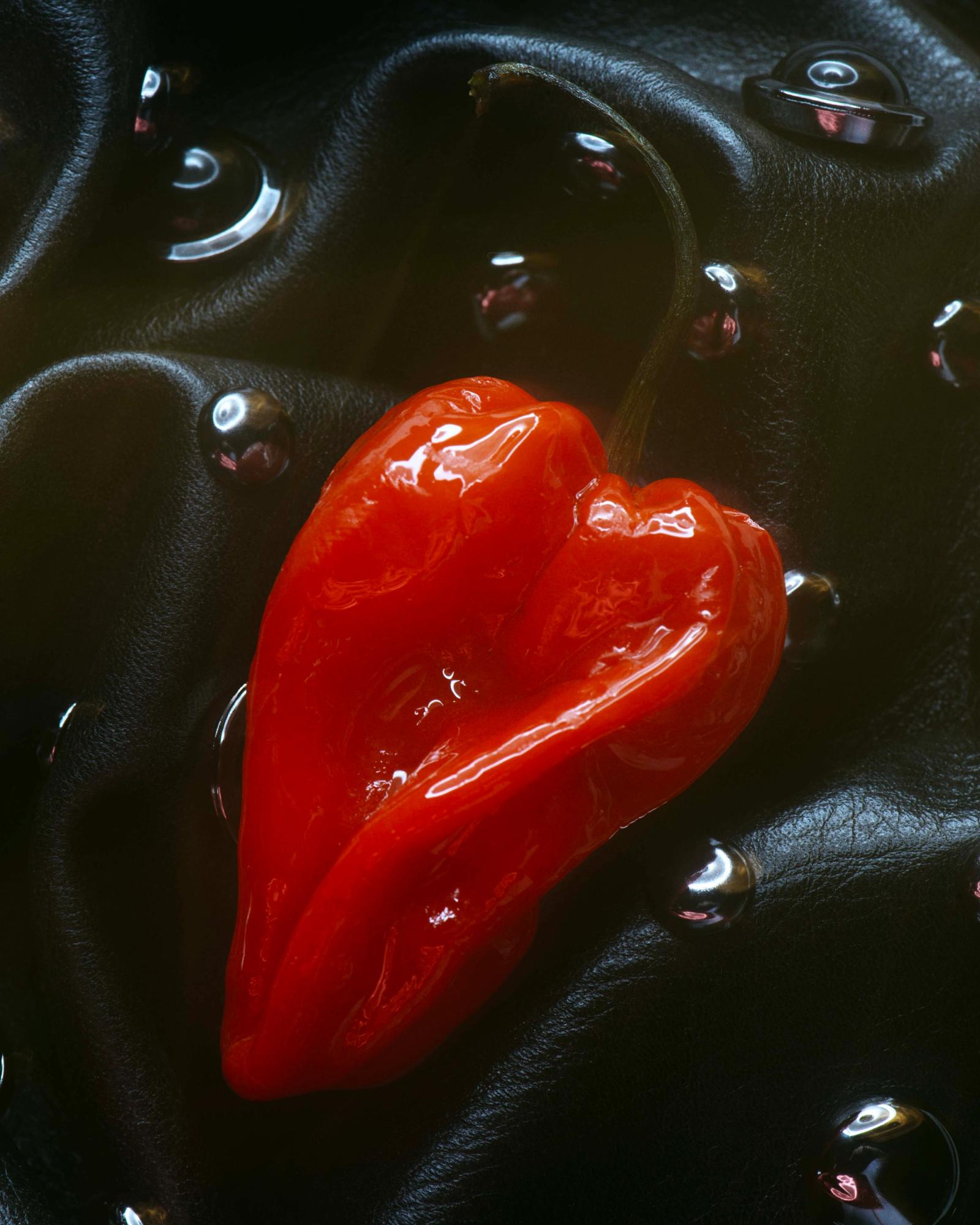 Ferragamo,|Photography by Deadhungry - Anna Sbiera - Set Design - Swan MGMT