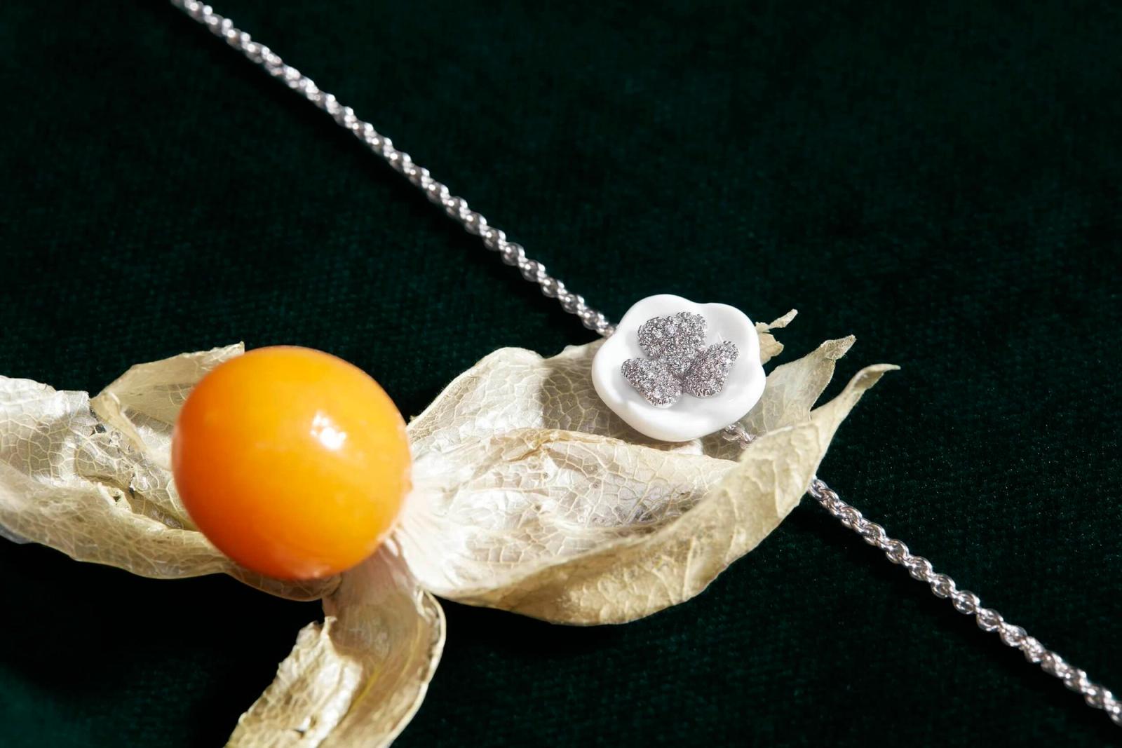 Meissen - Mary Lennox - Set Design - Swan MGMT