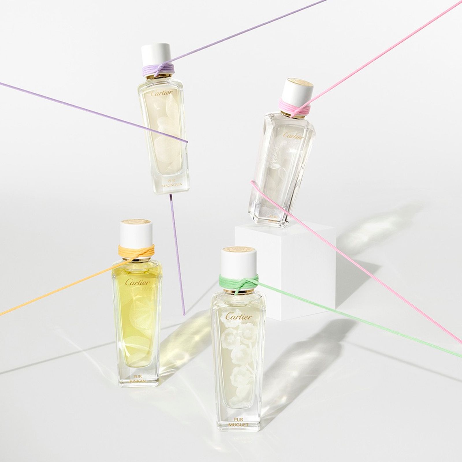 Cartier,|Photography by Studio KH - Sebastien Michelini - Set Design - Swan MGMT