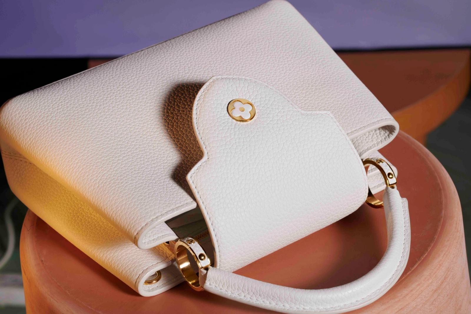 Louis Vuitton,|Photography by Joan Braun - Anna Sbiera - Set Design - Swan MGMT