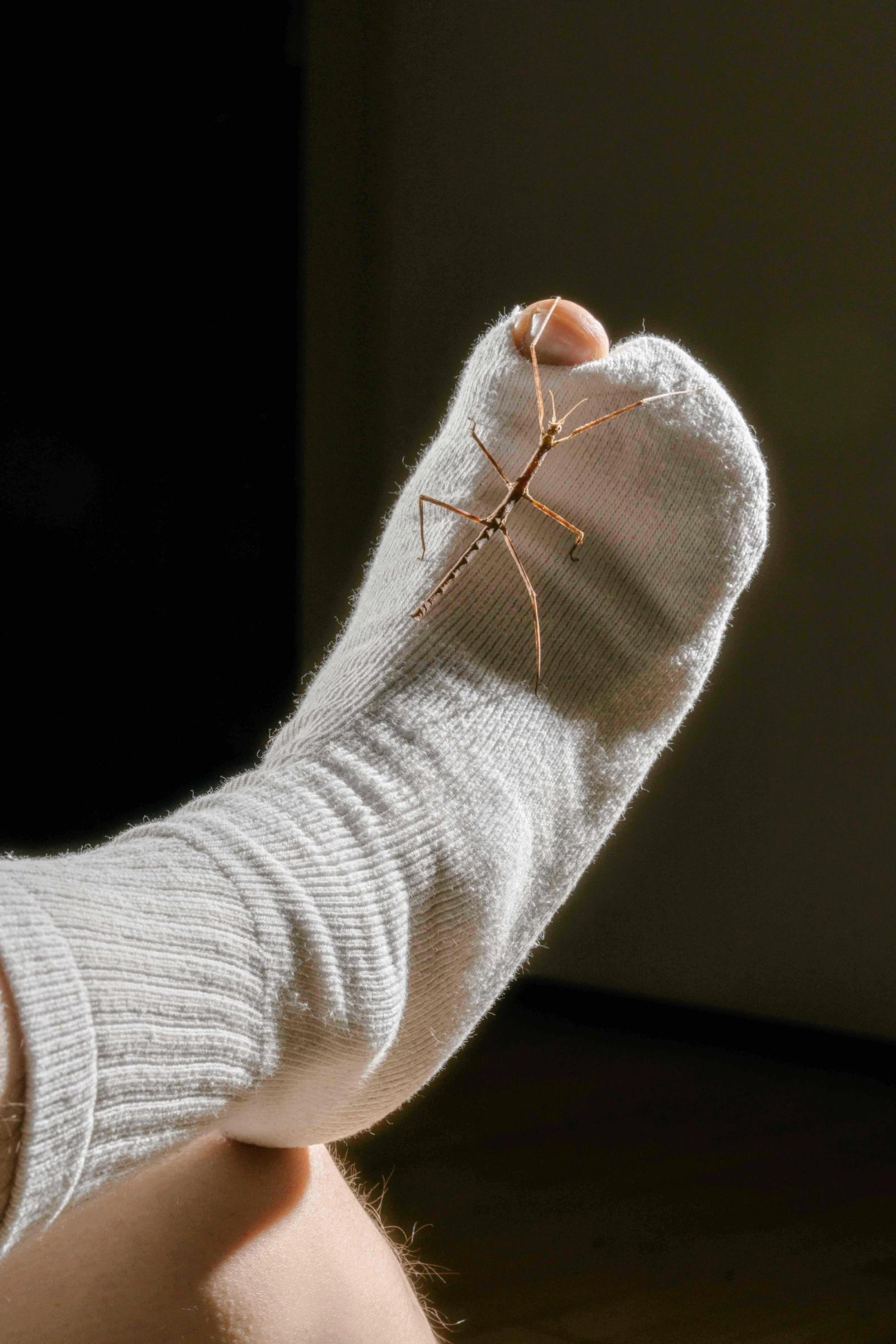 portfolio - Minh Ngoc Nguyen - Photography - Swan MGMT