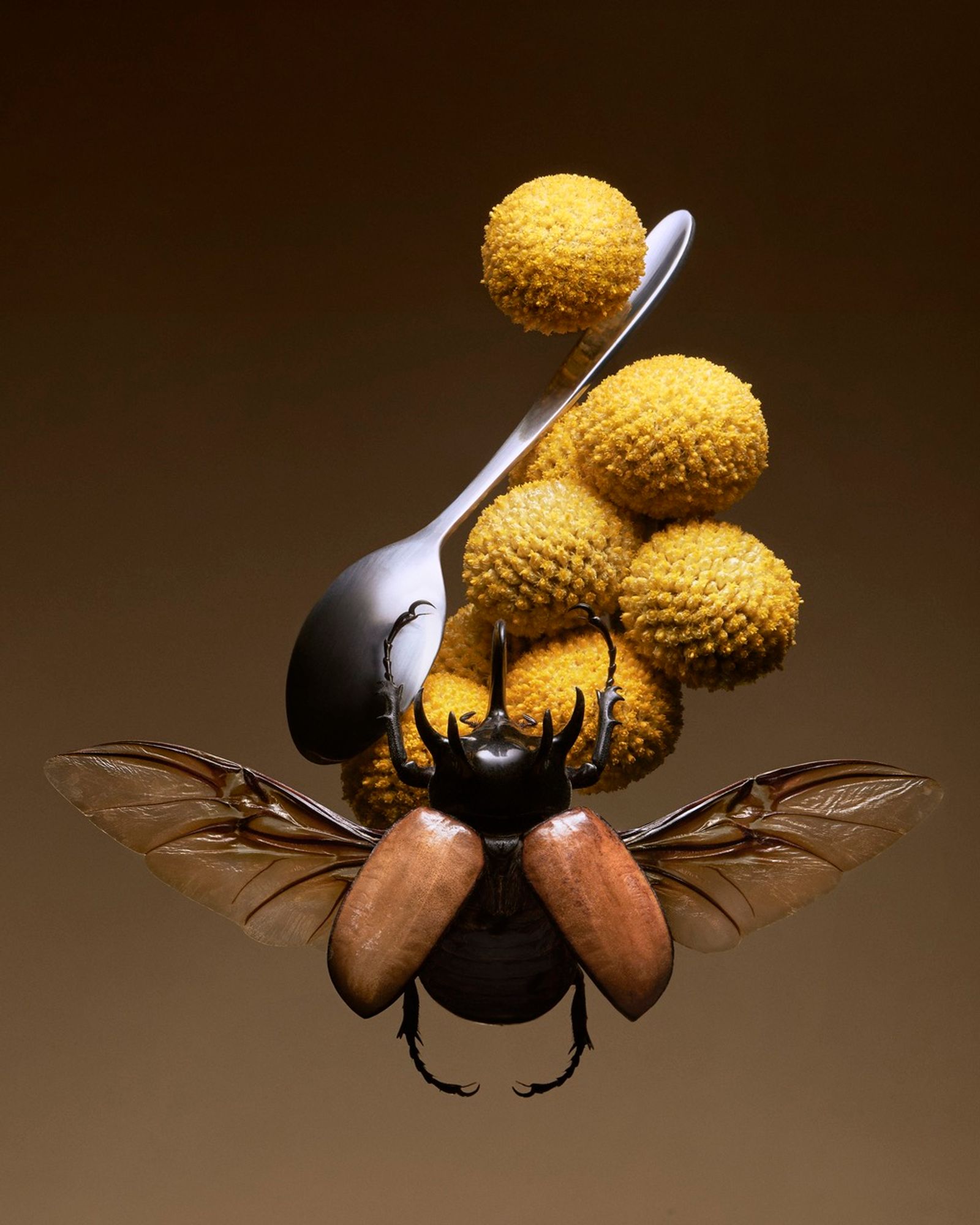 Mayday Magazine,|Photography by Romain Roucoules - Anna Piasek - Set Design - Swan MGMT