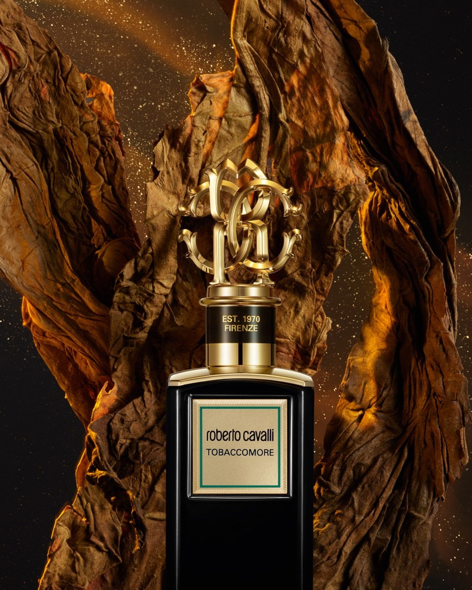 Roberto Cavalli,|Photography by Justinas Vilutus - Rémi Le Garrec - Set Design - Swan MGMT