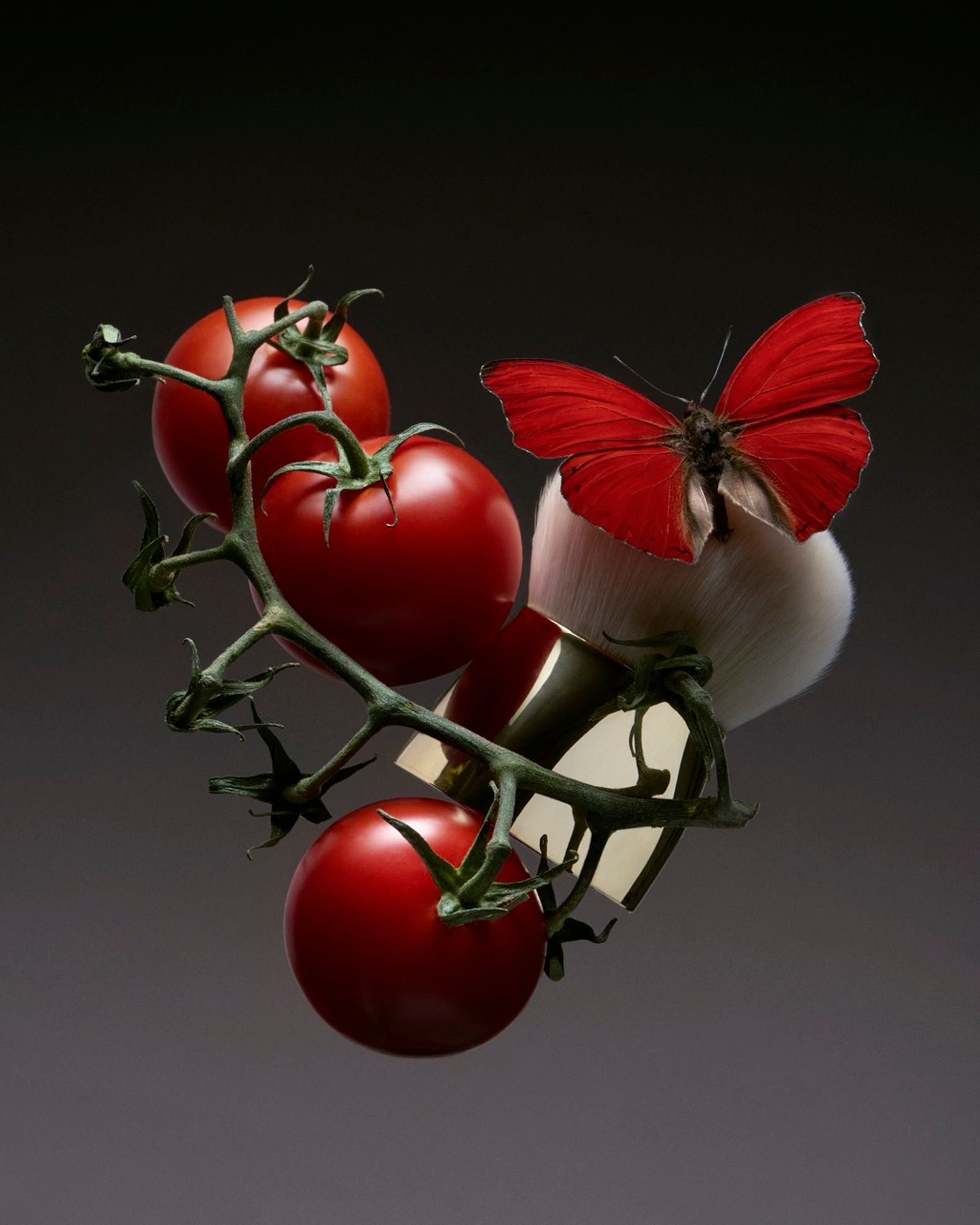 Mayday Magazine,|Photography by Romain Roucoules - Anna Piasek - Set Design - Swan MGMT