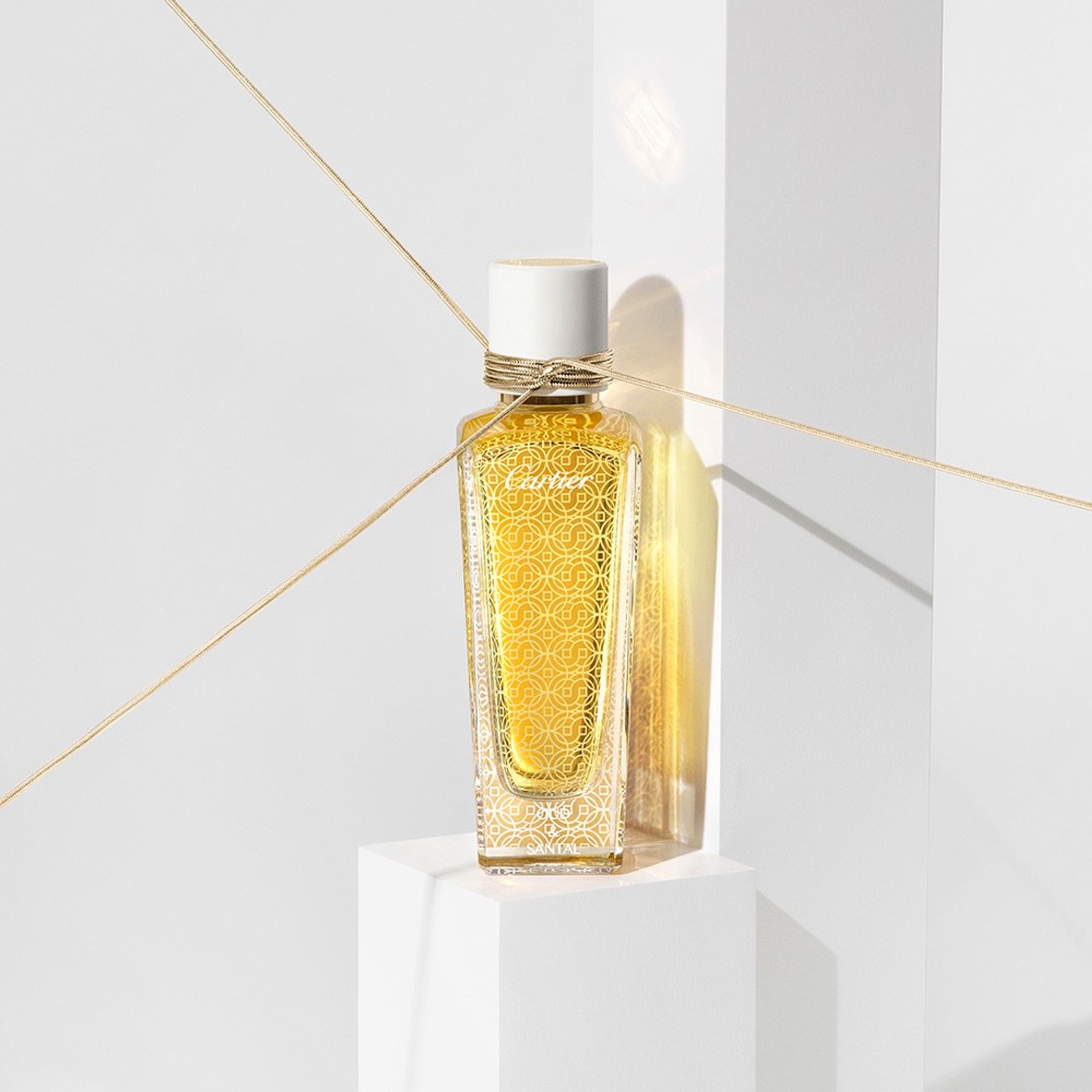 Cartier,|Photography by Studio KH - Sebastien Michelini - Set Design - Swan MGMT