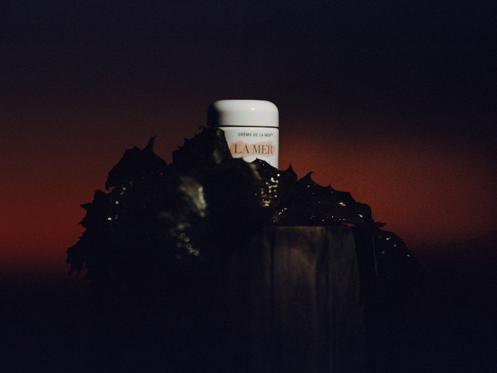 La Mer - Victoria Zschommler - Photography - Swan MGMT