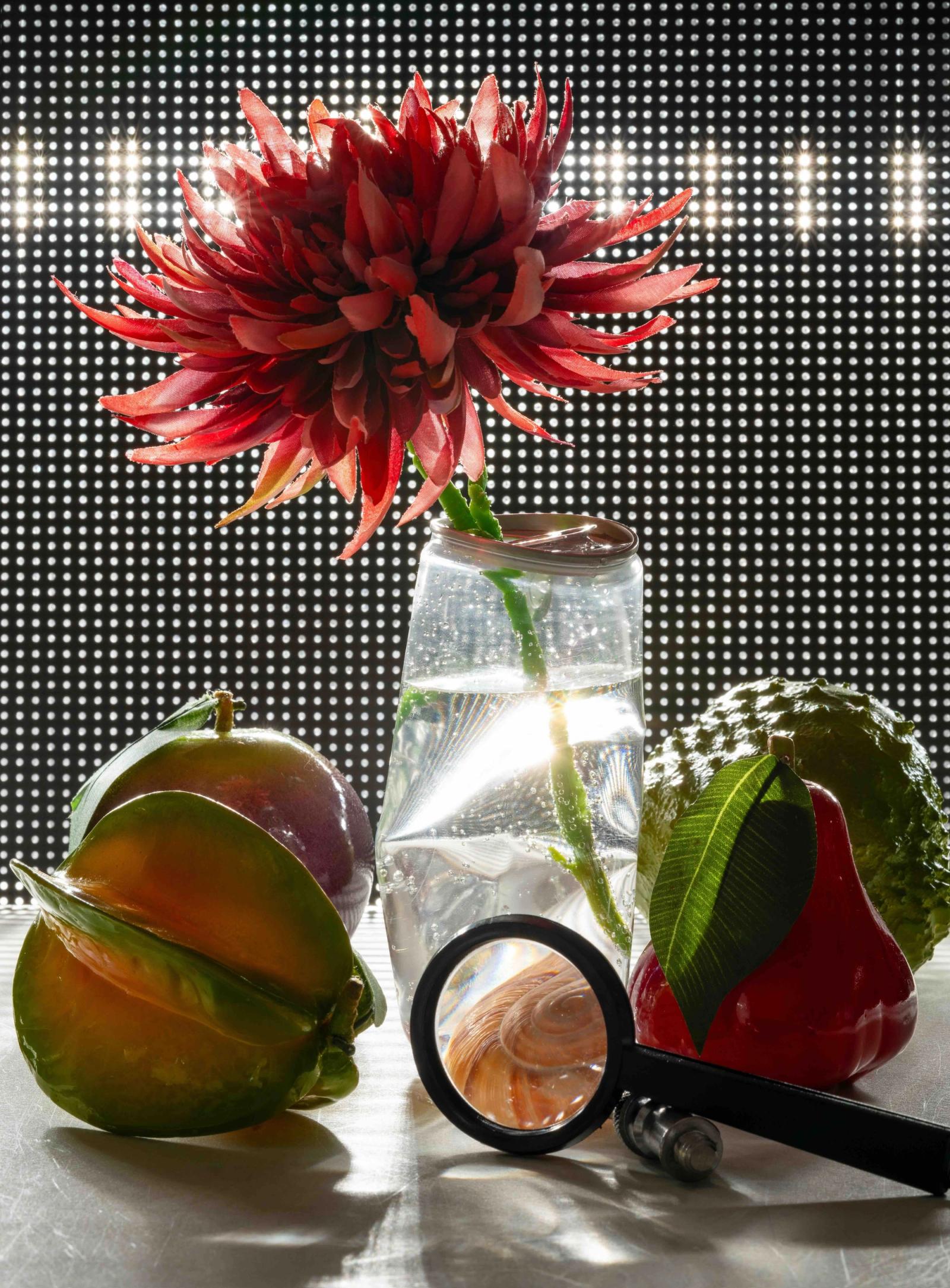 portfolio - Minh Ngoc Nguyen - Photography - Swan MGMT