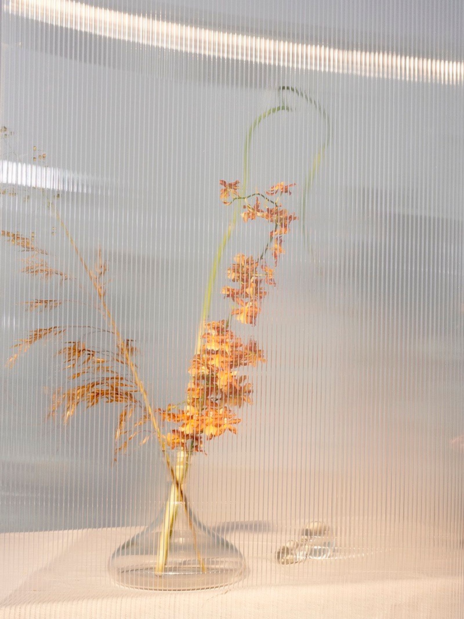 Flowers - Victoria Zschommler - Photography - Swan MGMT