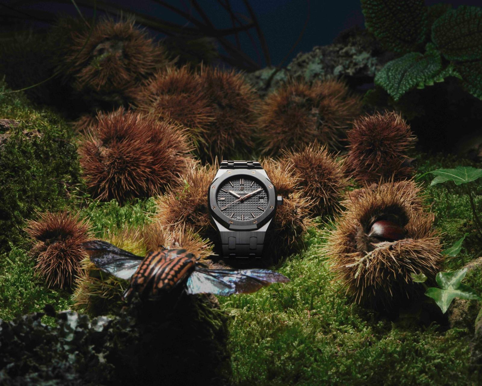 Novembre Magazine, shot by Romain Roucoules - Anna Piasek - Set Design - Swan MGMT