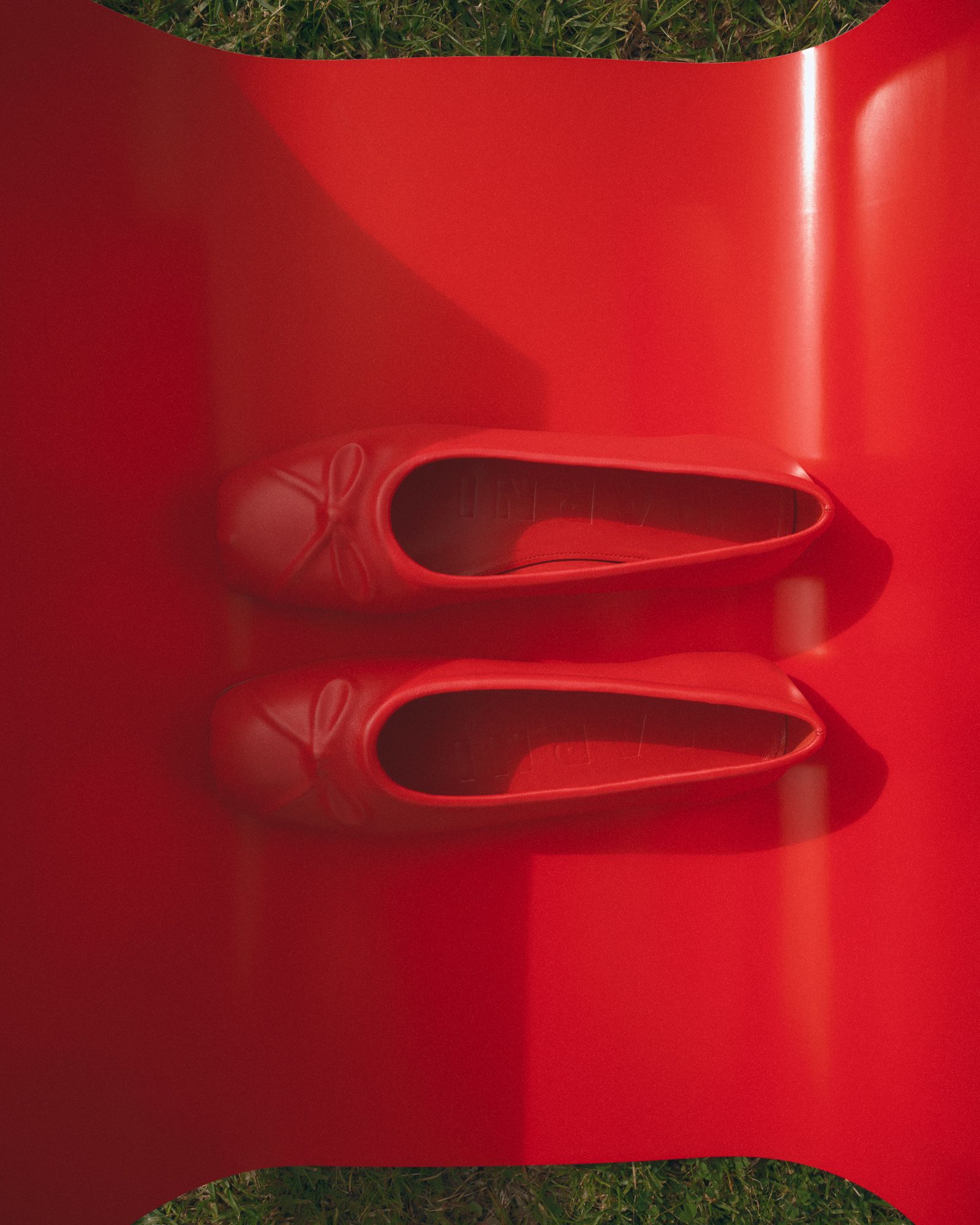 Camargue - Victoria Zschommler - Photography - Swan MGMT