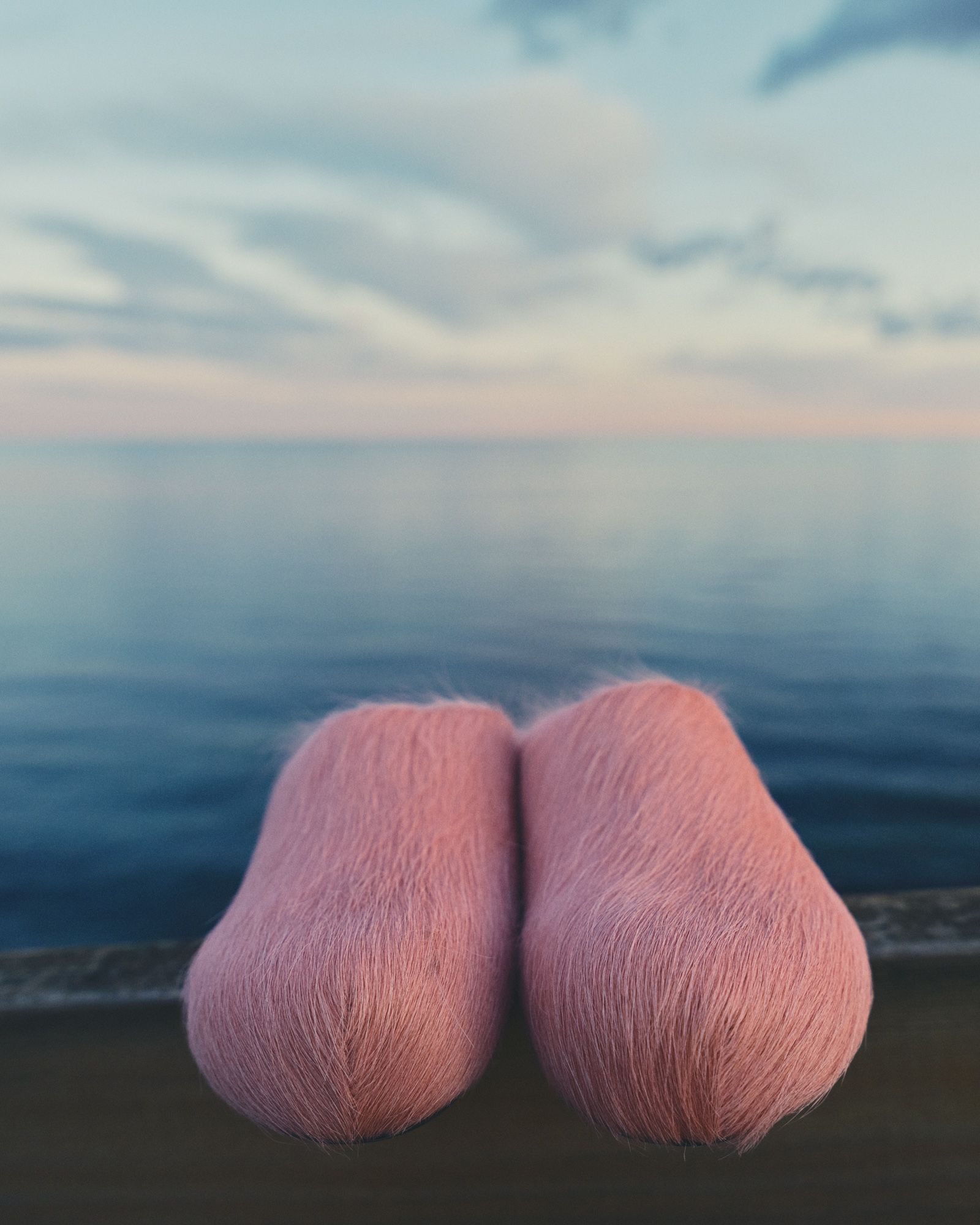 Camargue - Victoria Zschommler - Photography - Swan MGMT