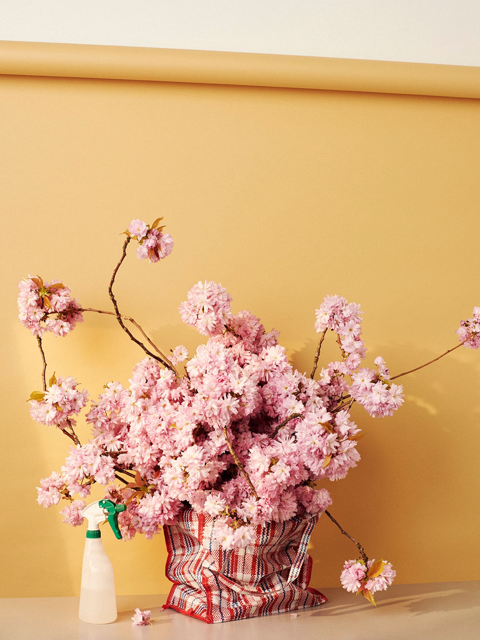 Flowers - Victoria Zschommler - Photography - Swan MGMT