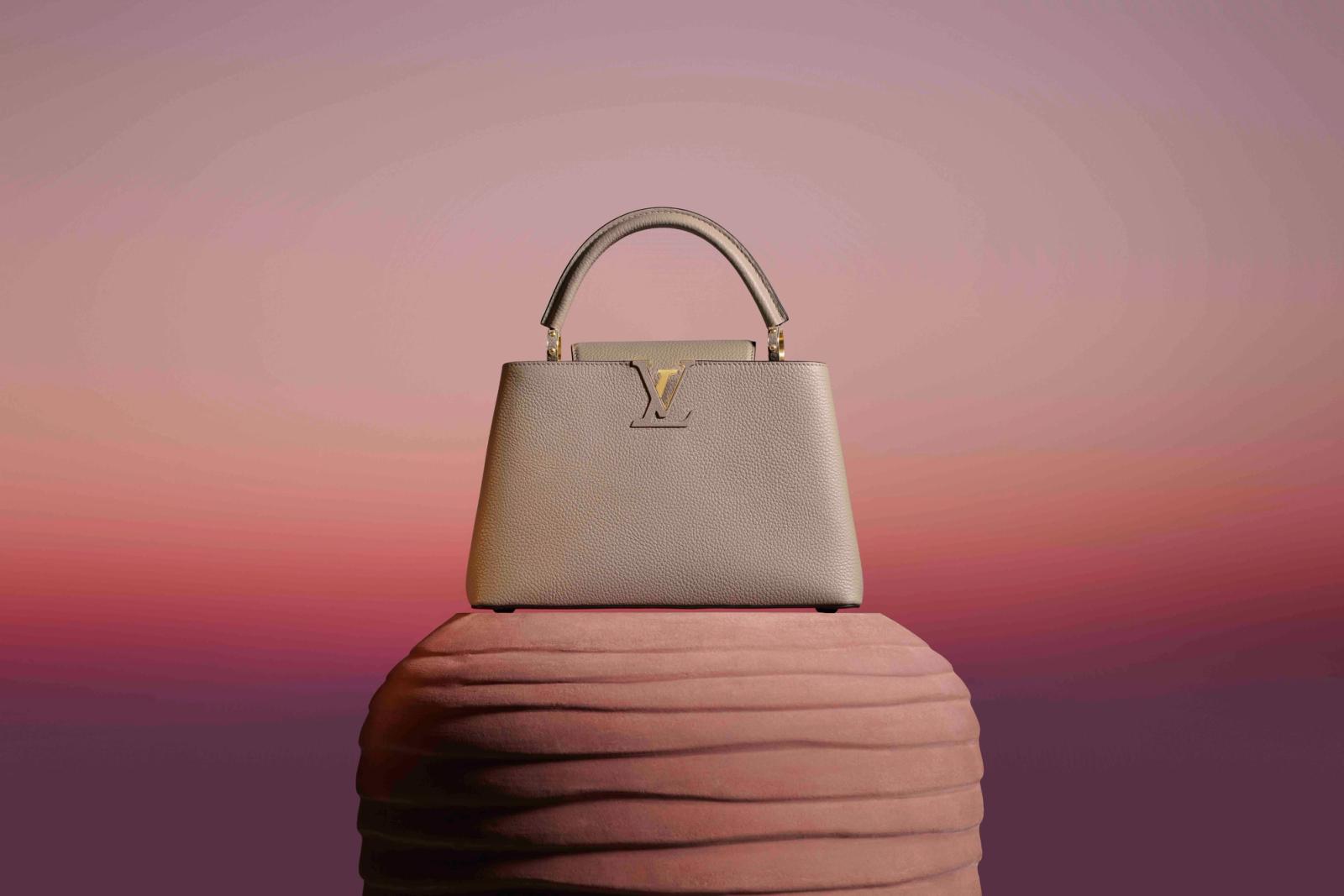 Louis Vuitton,|Photography by Joan Braun - Anna Sbiera - Set Design - Swan MGMT