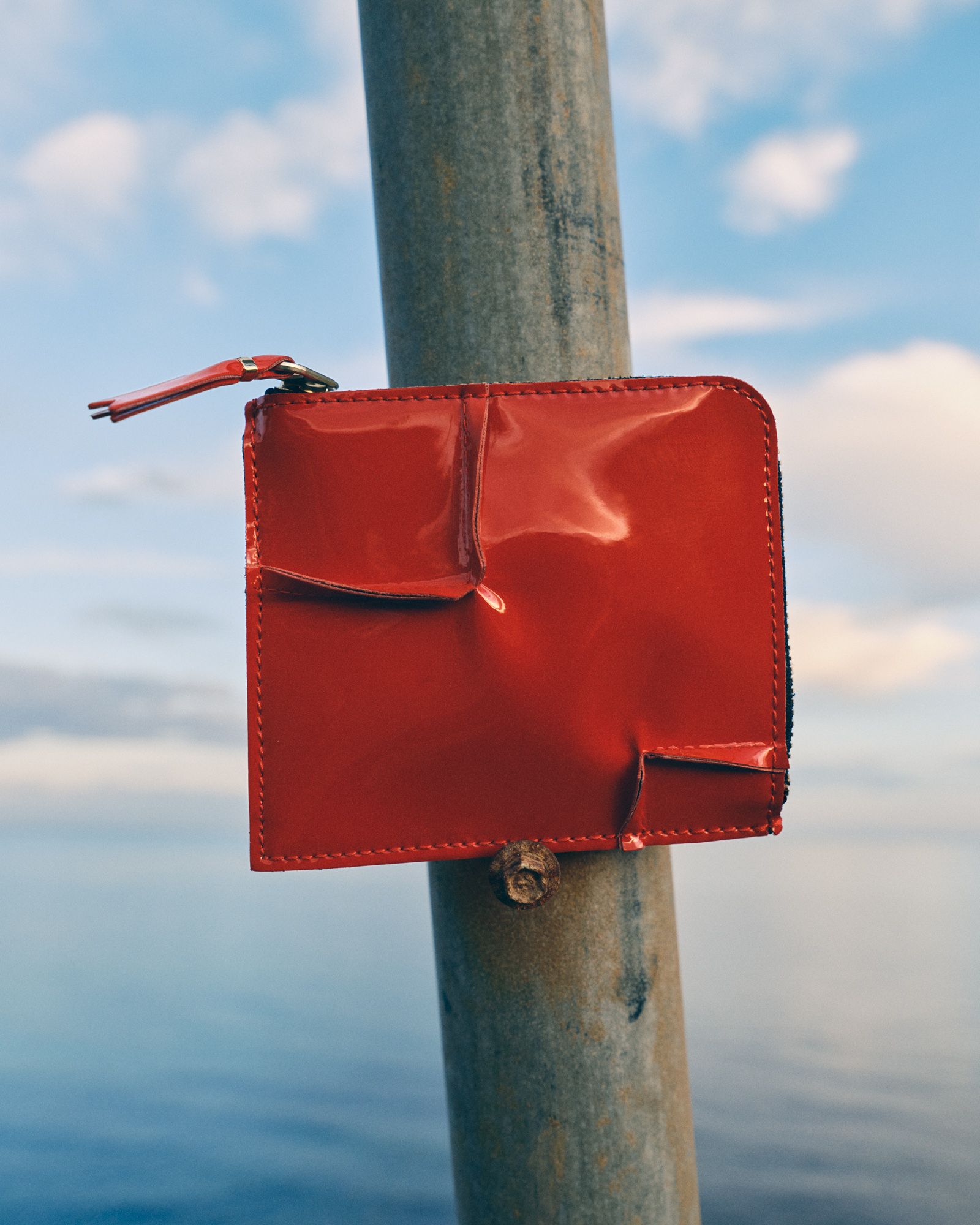 Camargue - Victoria Zschommler - Photography - Swan MGMT